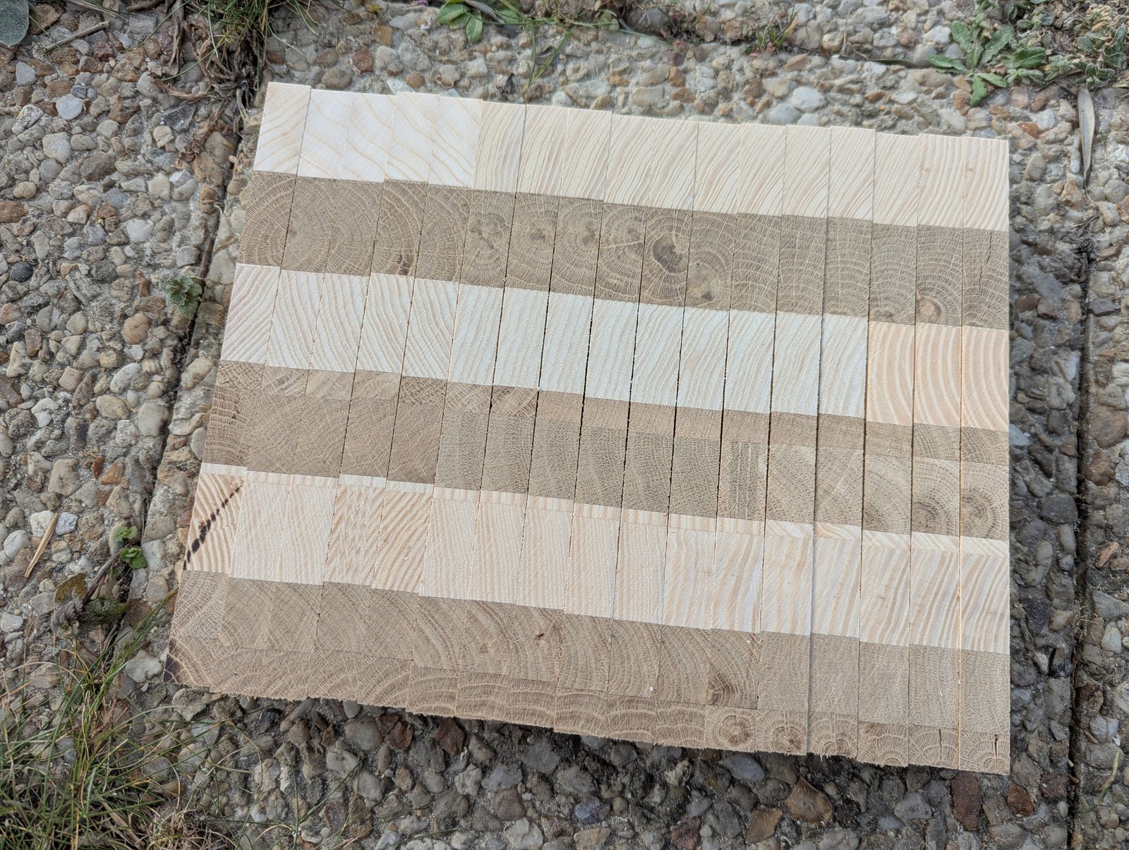 Sections de bois juxtaposées sur le gravier, avec les cernes visibles sur leur face supérieure.